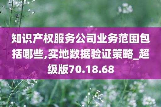 知识产权服务公司业务范围包括哪些,实地数据验证策略_超级版70.18.68