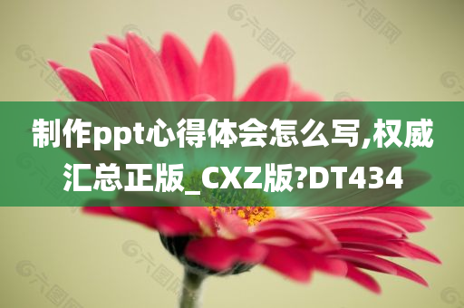 制作ppt心得体会怎么写,权威汇总正版_CXZ版?DT434