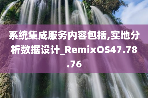 系统集成服务内容包括,实地分析数据设计_RemixOS47.78.76