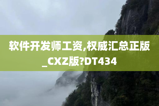 软件开发师工资,权威汇总正版_CXZ版?DT434