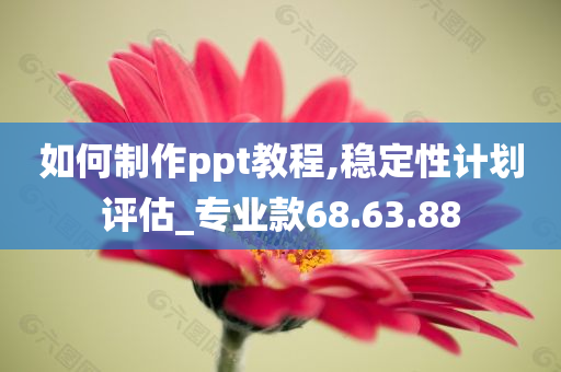 如何制作ppt教程,稳定性计划评估_专业款68.63.88