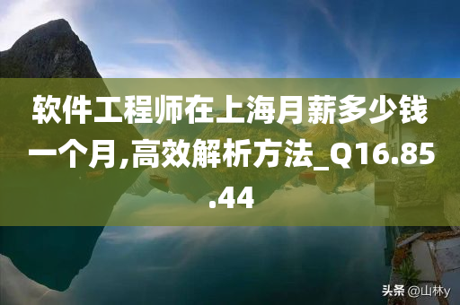 软件工程师在上海月薪多少钱一个月,高效解析方法_Q16.85.44