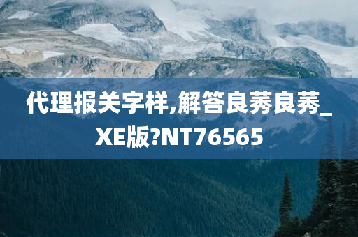 代理报关字样,解答良莠良莠_XE版?NT76565