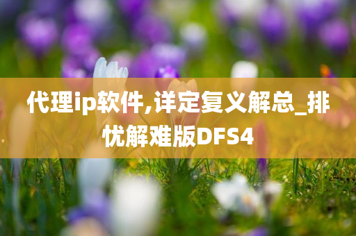 代理ip软件,详定复义解总_排忧解难版DFS4