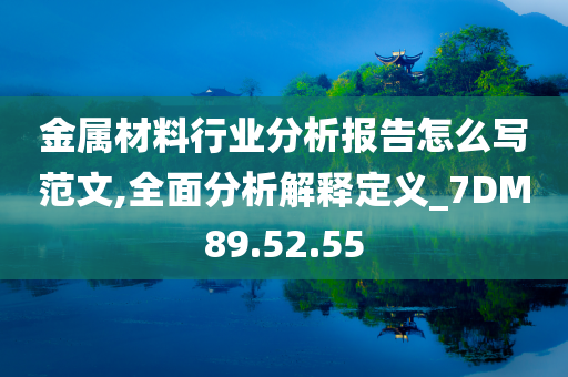 金属材料行业分析报告怎么写范文,全面分析解释定义_7DM89.52.55