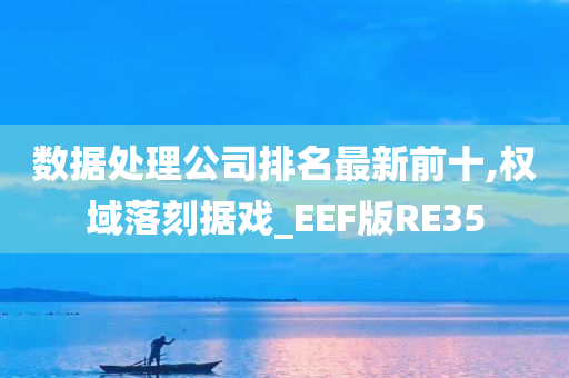 数据处理公司排名最新前十,权域落刻据戏_EEF版RE35