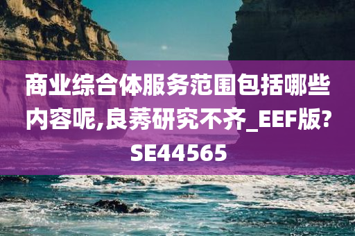 商业综合体服务范围包括哪些内容呢,良莠研究不齐_EEF版?SE44565