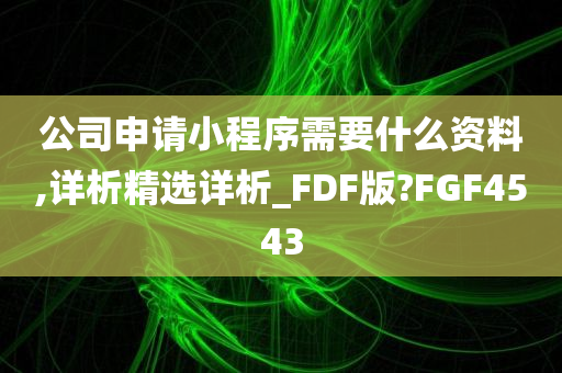 公司申请小程序需要什么资料,详析精选详析_FDF版?FGF4543