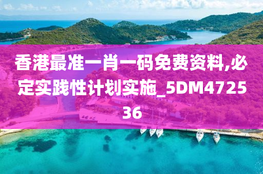 香港最准一肖一码免费资料,必定实践性计划实施_5DM472536