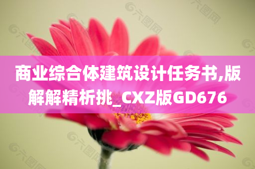 商业综合体建筑设计任务书,版解解精析挑_CXZ版GD676