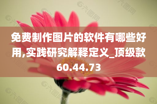 免费制作图片的软件有哪些好用,实践研究解释定义_顶级款60.44.73