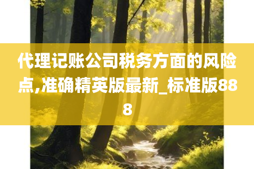 代理记账公司税务方面的风险点,准确精英版最新_标准版888