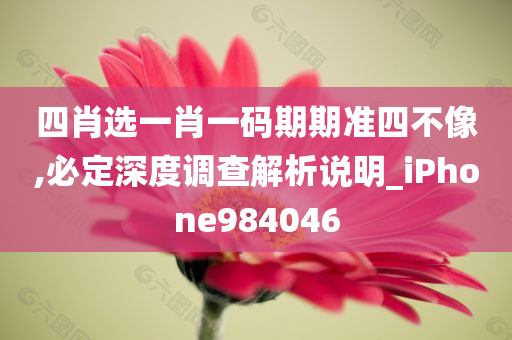 四肖选一肖一码期期准四不像,必定深度调查解析说明_iPhone984046