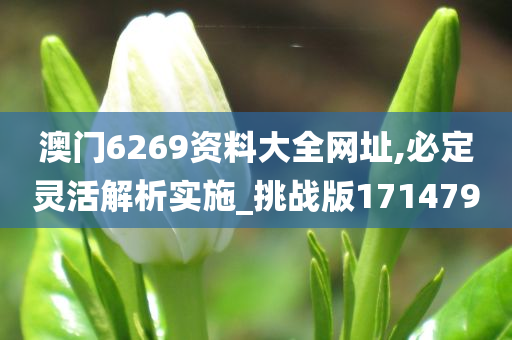 澳门6269资料大全网址,必定灵活解析实施_挑战版171479