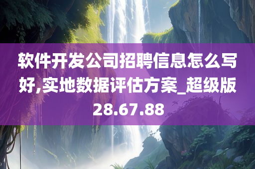 软件开发公司招聘信息怎么写好,实地数据评估方案_超级版28.67.88