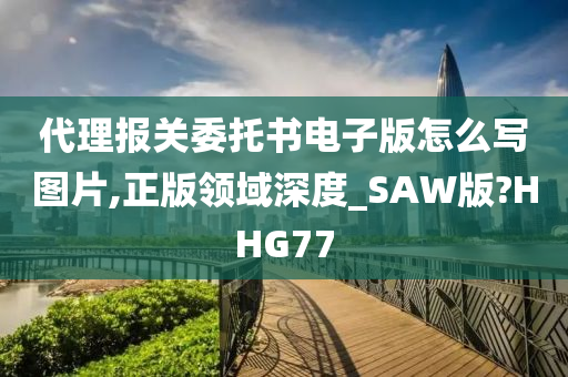 代理报关委托书电子版怎么写图片,正版领域深度_SAW版?HHG77