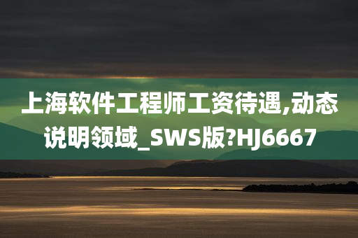 上海软件工程师工资待遇,动态说明领域_SWS版?HJ6667