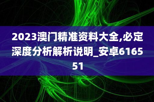 2023澳门精准资料大全,必定深度分析解析说明_安卓616551