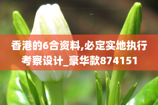 香港的6合资料,必定实地执行考察设计_豪华款874151