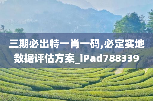 三期必出特一肖一码,必定实地数据评估方案_iPad788339