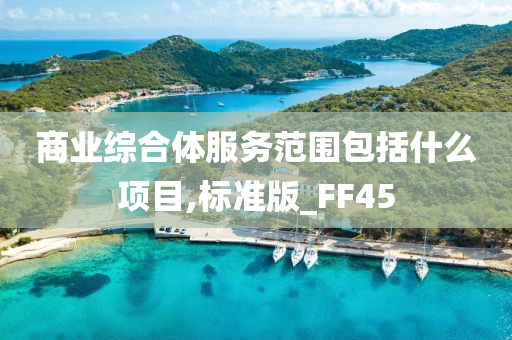 商业综合体服务范围包括什么项目,标准版_FF45