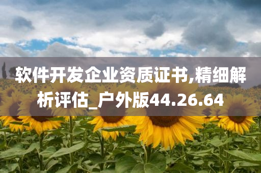 软件开发企业资质证书,精细解析评估_户外版44.26.64