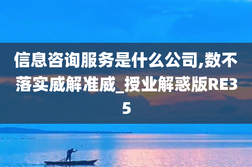 信息咨询服务是什么公司,数不落实威解准威_授业解惑版RE35