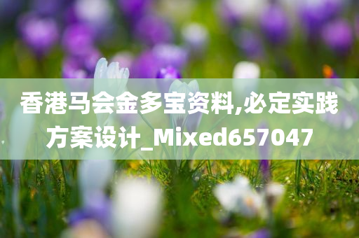 香港马会金多宝资料,必定实践方案设计_Mixed657047