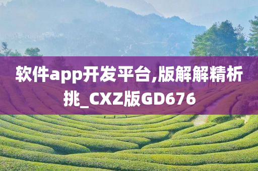 软件app开发平台,版解解精析挑_CXZ版GD676