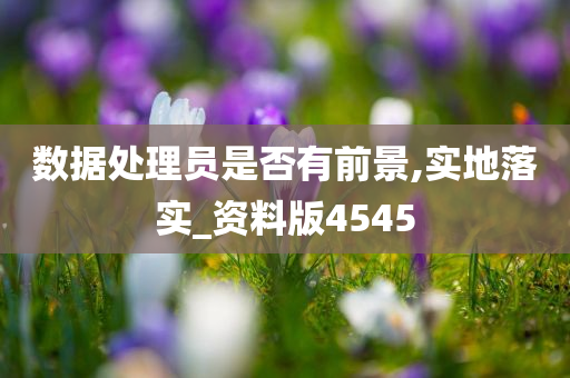 数据处理员是否有前景,实地落实_资料版4545