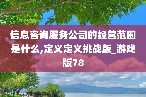 信息咨询服务公司的经营范围是什么,定义定义挑战版_游戏版78