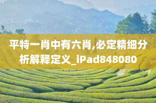 平特一肖中有六肖,必定精细分析解释定义_iPad848080