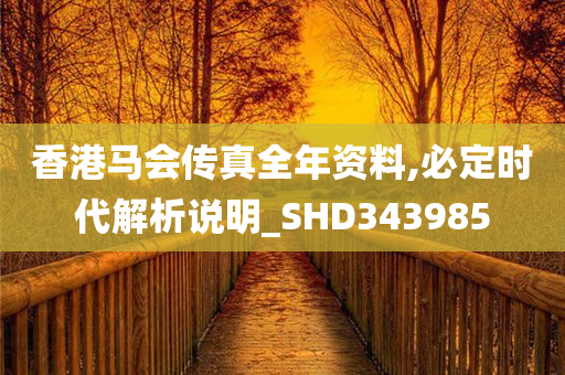 香港马会传真全年资料,必定时代解析说明_SHD343985