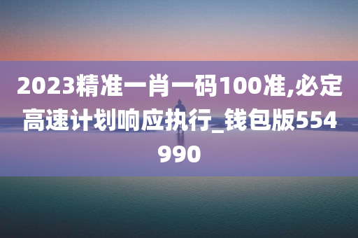 2023精准一肖一码100准,必定高速计划响应执行_钱包版554990