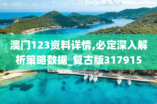 澳门123资料详情,必定深入解析策略数据_复古版317915