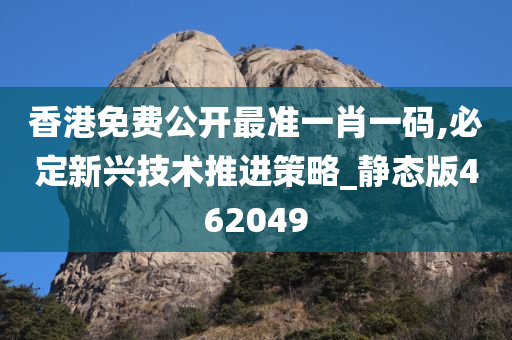 香港免费公开最准一肖一码,必定新兴技术推进策略_静态版462049