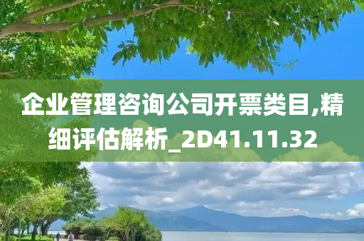 企业管理咨询公司开票类目,精细评估解析_2D41.11.32