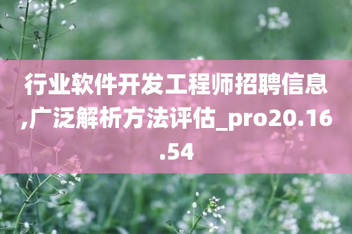 行业软件开发工程师招聘信息,广泛解析方法评估_pro20.16.54