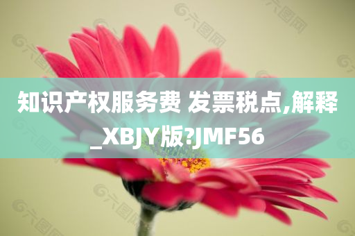 知识产权服务费 发票税点,解释_XBJY版?JMF56