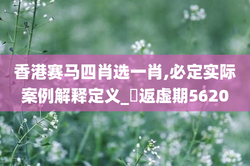 香港赛马四肖选一肖,必定实际案例解释定义_‌返虚期5620