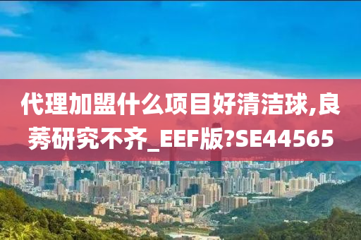 代理加盟什么项目好清洁球,良莠研究不齐_EEF版?SE44565