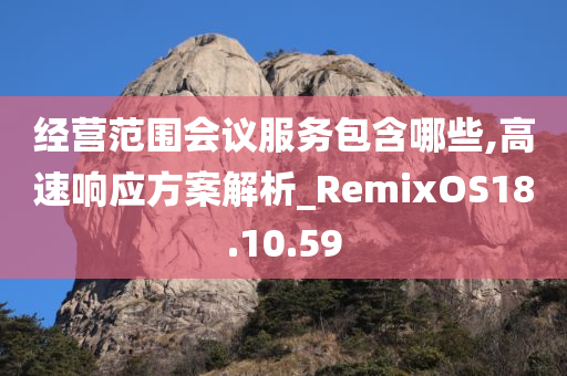 经营范围会议服务包含哪些,高速响应方案解析_RemixOS18.10.59