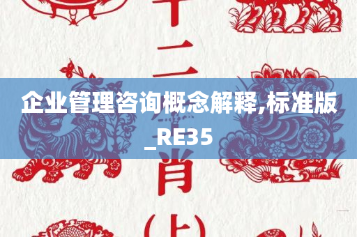 企业管理咨询概念解释,标准版_RE35