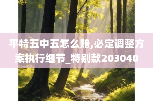 平特五中五怎么赔,必定调整方案执行细节_特别款203040