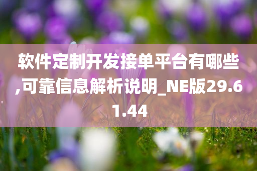 软件定制开发接单平台有哪些,可靠信息解析说明_NE版29.61.44