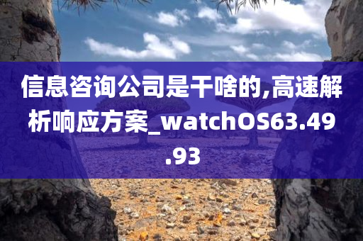 信息咨询公司是干啥的,高速解析响应方案_watchOS63.49.93