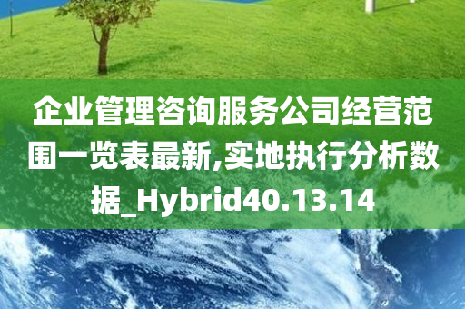 企业管理咨询服务公司经营范围一览表最新,实地执行分析数据_Hybrid40.13.14