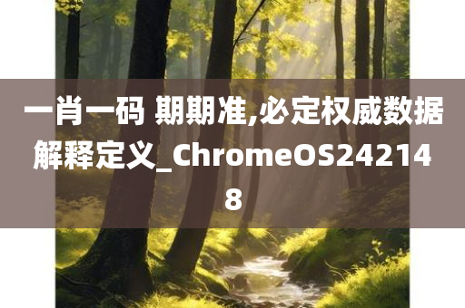 一肖一码 期期准,必定权威数据解释定义_ChromeOS242148