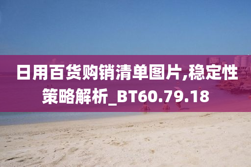 日用百货购销清单图片,稳定性策略解析_BT60.79.18