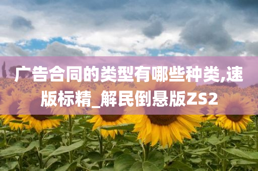 广告合同的类型有哪些种类,速版标精_解民倒悬版ZS2